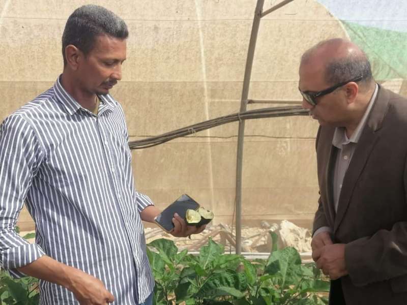 رئيس مدينة مرسى علم يتفقد مزرعة الجهاز التنفيذي لمشروعات التنمية الشاملة