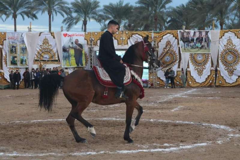 مهرجان البحيرة الدولي للخيول العربية: رحلة سحرية في عالم الجمال والأدب