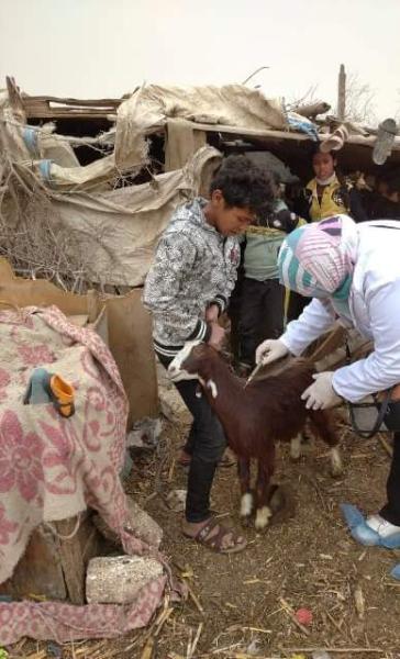 ”بيطري الشرقية ”ينظم قافلة طبية علاجية مجانية بقرية عرب شمس