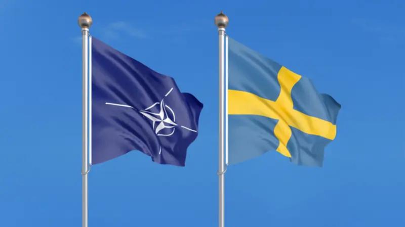 علما السويد والناتو في بروكسل