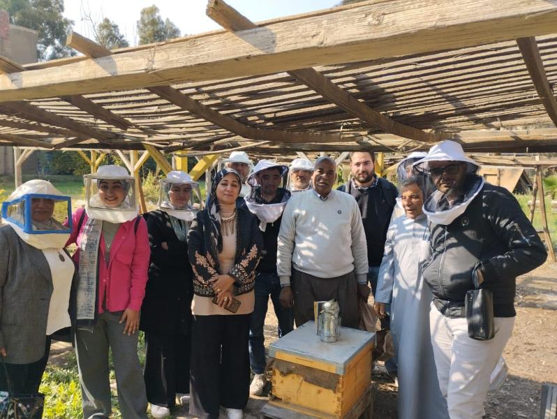 وقاية النباتات: برامج تدريبية تهدف إلى تعزيز إنشاء المناحل وتربية نحل العسل في محافظات مصر