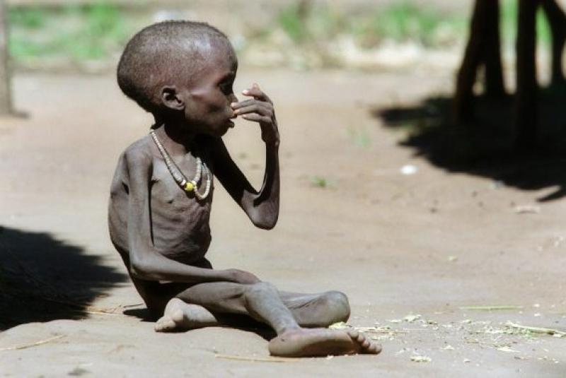 الأمم المتحدة: 5 ملايين سوداني مهدد بالجوع القاتل