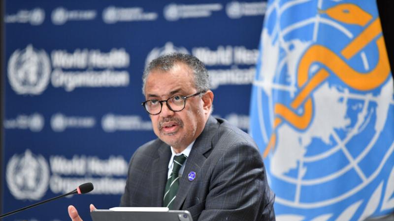 ”باسم الإنسانية”.. رئيس منظمة الصحة العالمية يدعو إسرائيل لعدم شن هجوم على رفح