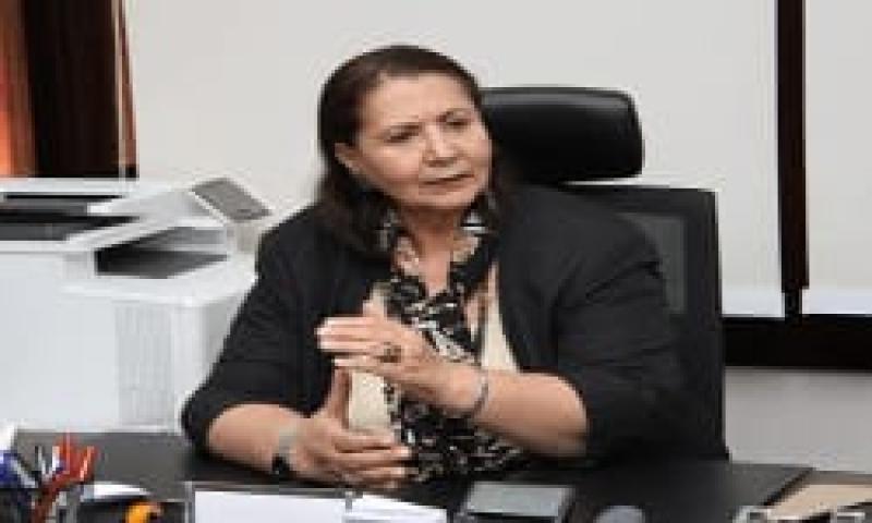 الدكتورة علياء المهدي عميد كلية سياسة واقتصاد الأسبق للنهار: التضخم بمصر لم نشهده منذ عقود ورفع سعر البنزين حاليا قرار خاطئ