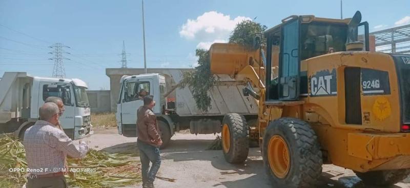 الدقهلية: رفع 300 طن قمامة ومخلفات تقليم الأشجار من شوارع وميادين مدينة جمصة