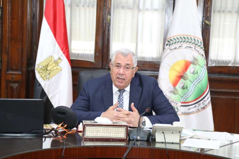 صادرات الصناعات الغذائية المصرية تتجاوز المليار دولار في أول شهرين من عام 2024 بنسبة نمو 35%