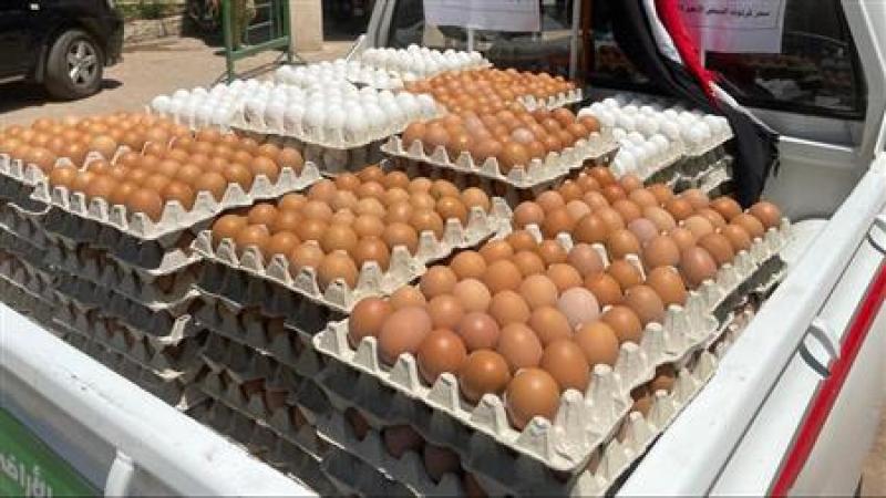 بيض في منافذ وزارة الزراعة