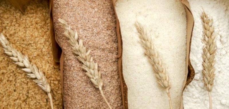 الزراعة: نتوقع زيادة إنتاج القمح لأكثر من 9 ملايين طن هذا العام (خاص)