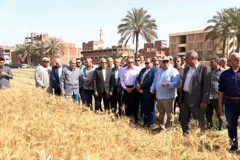 :محافظ الشرقية يشهد افتتاح موسم حصاد محصول القمح لعام 2024