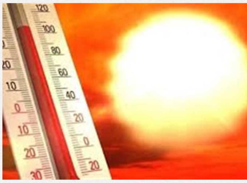 الأرصاد: طقس شديد الحرارة والصغرى في القاهرة تسجل 26 درجة