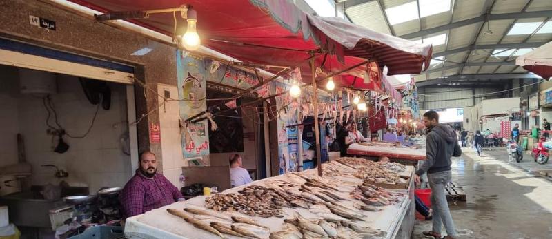 رغم انخفاض الأسعار.. البورسعيدية يستكملون حملة مقاطعة الأسماك لمواجهة جشع التجار لليوم الثالث والسوق خالي من الزبائن