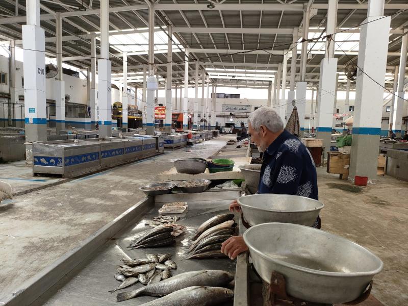 «خليه يعفن» استجابة واسعة من المواطنين مع ثاني ايام حملات مقاطعة الأسماك بالإسماعيلية