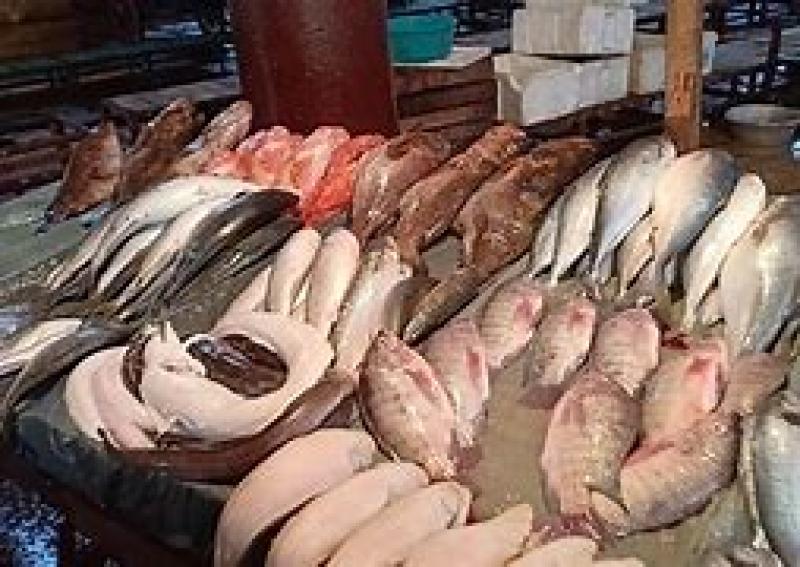 ”خليه يعفن”.. حملة مقاطعة لشراء الأسماك في مصر تثير ركودًا غير مسبوق في أسواق الأسماك
