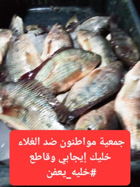 منسق حملة مواطنون ضد الغلاء ل”النهار ”: توقف الصيد لحين انتهاء مقاطعة الأسماك