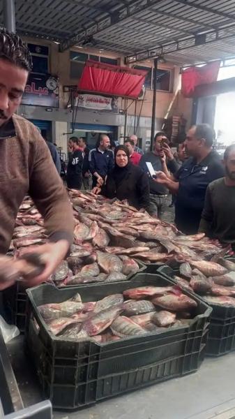 الغرفة التجارية ببورسعيد : انخفاض أسعار الأسماك 50%