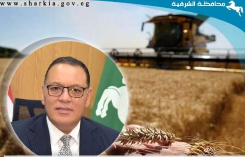صوامع وشون الشرقية تفتح أبوابها لإستقبال ٣٧٣٣٦٩ طن و٣٢٦ كيلو من القمح