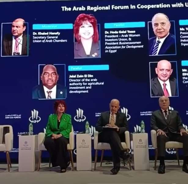هدى يسي : اتحاد المستثمرات العرب  يطبق تكامل القوى الاقتصادية  من خلال انضمام   كبار الشخصيات  أصحاب القرار بالدول الأفريقية