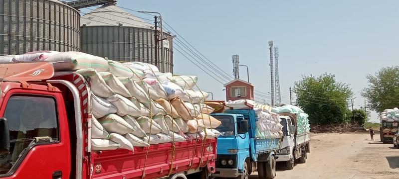 محافظ المنوفية يتابع منظومة  توريد محصول القمح ويؤكد توريد ما يزيد عن 76 ألف طن  قمح منذ بدء الموسم