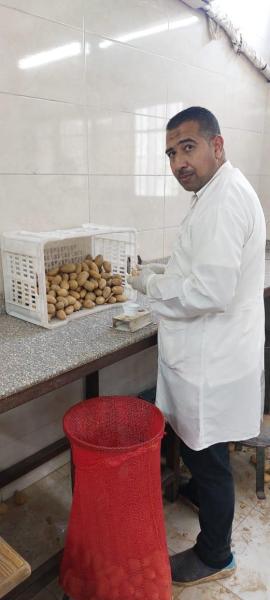 ”بلابل” تكشف عن أبرز أنشطة مشروع مكافحة وحصر العفن البني في البطاطس
