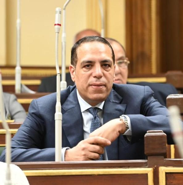برلماني: لقاء الرئيس بمجلس أمناء مكتبة الاسكندرية رسالة دعم للعلم ولثقافة المواطنة