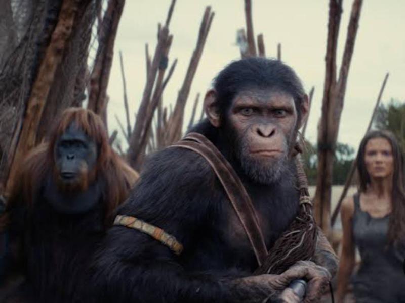 فيلم Kingdom of the Planet of the Apes يحقق 308 مليون بشباك التذاكر العالمي