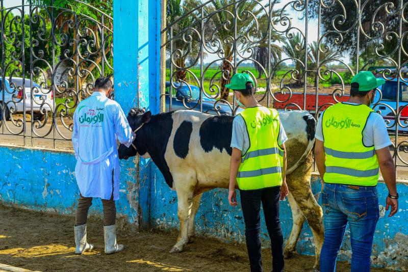 جمعية الأورمان توزع 28 طن لحوم على الأسر الأولى بالرعاية بقرى كفر الشيخ