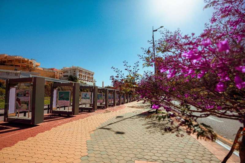 12 وجهة استثنائية في ”عسير” السعودية تنتظر السياح في موسم ”العيد”