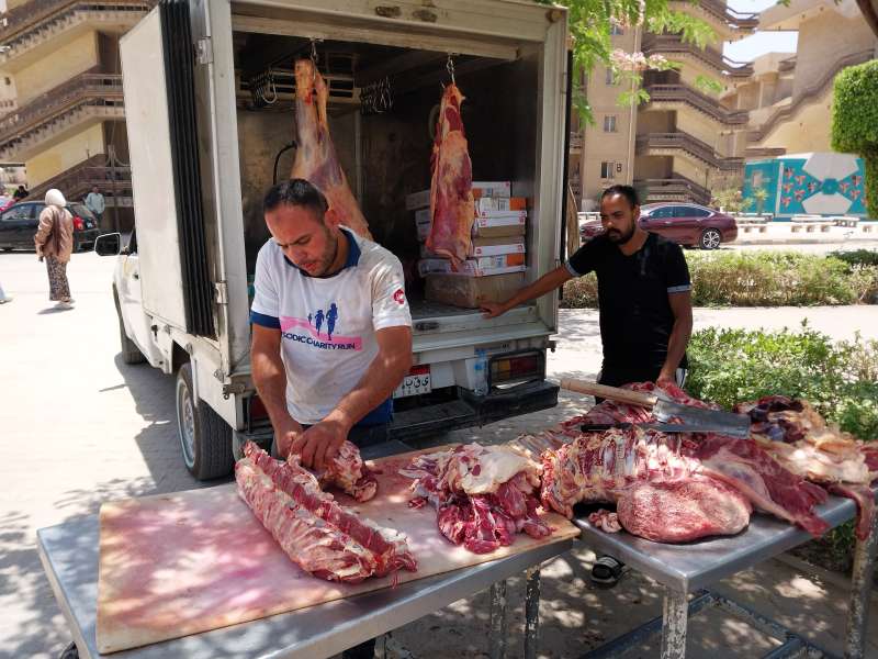 منفذ بيع اللحوم والدواجن بأسعار مخفضة داخل جامعة حلوان