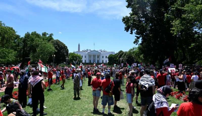 اِحتشاد 30 ألف متظاهر حول البيت الأبيض لقطع التسليح الأمريكي لإسرائيل عقب مجزرة النصيرات بحق المدنيين الفلسطينيين