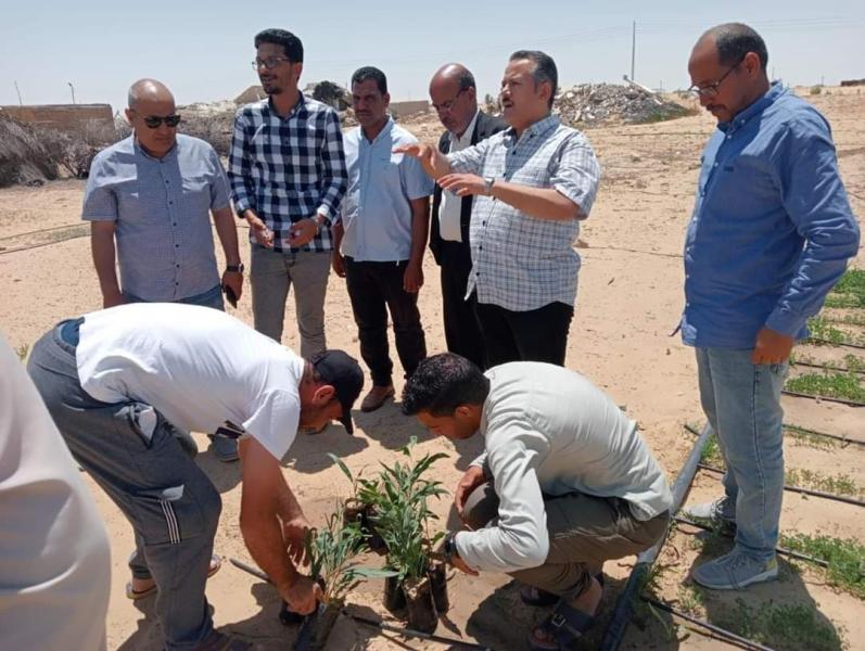 بحوث الصحراء ينظم قوافل إرشادية بشمال سيناء لتحقيق التنمية الزراعية المستدامة بالأراضى الصحراوية
