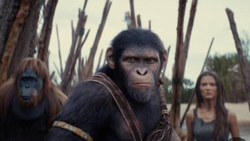 فيلم Kingdom of the Planet of the Apes يحقق 359 مليون دولار خلال شهر.. تفاصيل