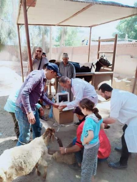 ” بيطري الشرقية ” ينظم قافلة علاجية مجانية بقرية ميت العز التابعة لمركز فاقوس