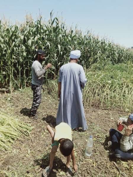 النهار