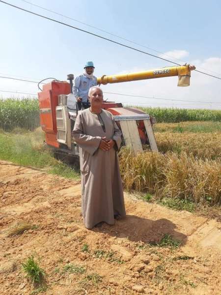 نقيب الفلاحين: صافي ربح فدان الطماطم حاليا يصل لنصف مليون جنيه