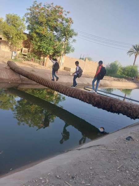 تلاميذ يعبرون ترعة على جذوع النخيل في العام الدراسي الجديد بقنا.. والأهالي: أولادنا في خطر