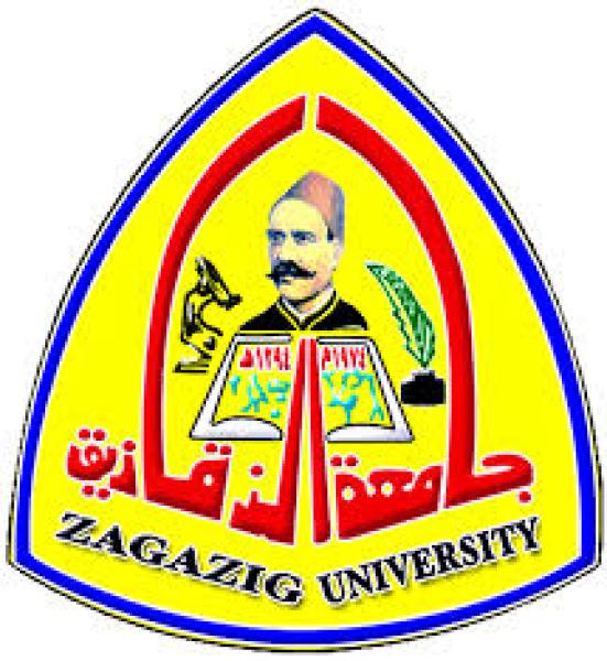 رئيس جامعة الزقازيق يشهد مراسم وضع إكليل الزهور على النصب التذكاري لشهداء أكتوبر المجيد