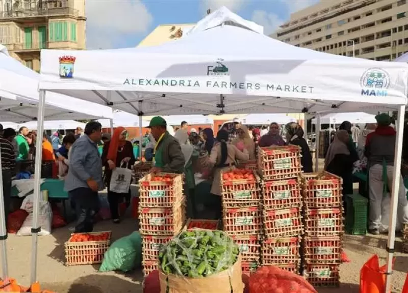 الوكيل: سوق المزارعين يساهم في تقليل التضخم والنمو الاقتصادي  وتنمية المجتمعات الريفية