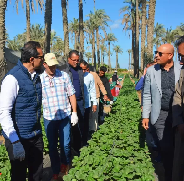 نائب محافظ البحيرة يستقبل وفد الوكالة الأمريكية للتنمية الدولية بمركز بدر