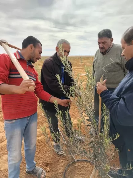 ”تكثيف الجهود الميدانية وتقديم خدمات إرشادية لمزارعي سيناء ضمن مبادرة مركز بحوث الصحراء”