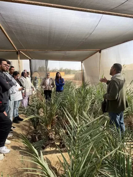 ”بحوث الصحراء ينظم دورة تدريبية لتعزيز المهارات العملية في الزراعة والبيئة الصحراوية في محطة بحوث سيوة”