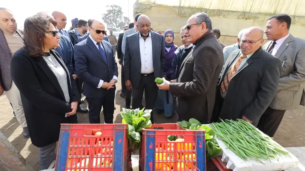 محافظ كفر الشيخ ووزير الزراعة النيجيري يتفقدان البرنامج الوطني لإنتاج تقاوي الخضر