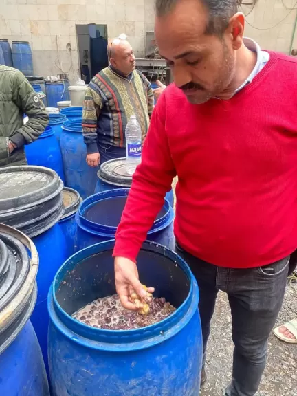 ”مراقبة الأغذية” تضبط طن مخللات فاسدة و غير صالحة للاستهلاك بمصنع غير مرخص بالخانكة