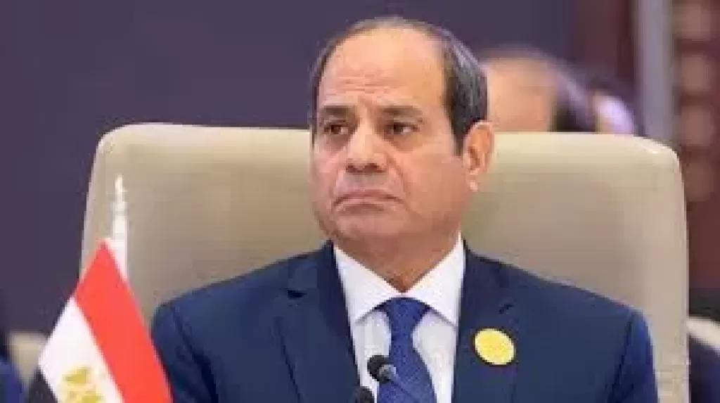 السيسي: مصر تعمل مع ترامب لتحقيق سلام قائم على حل الدولتين