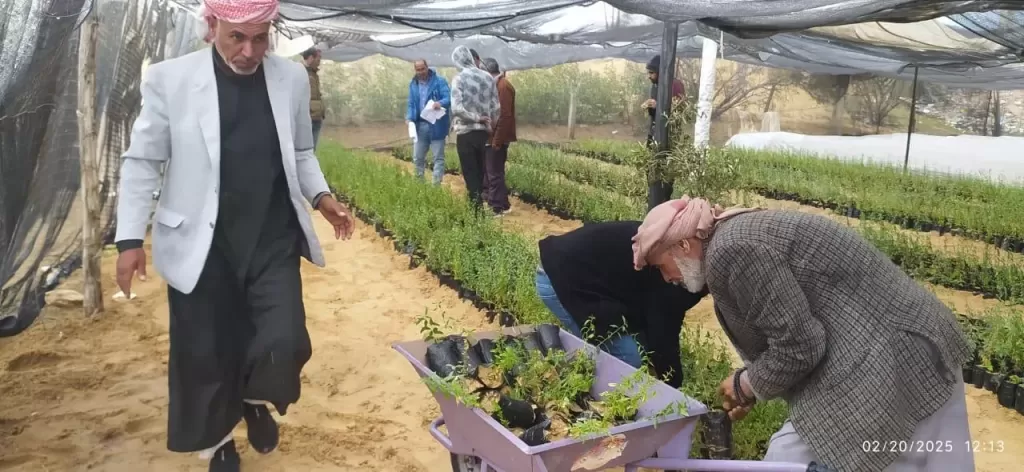 ”ضمن المبادرة الرئاسية ١٠٠ مليون شجرة.. مركز بحوث الصحراء يوزع 10 آلاف شتلة لوز على مزارعي شمال سيناء