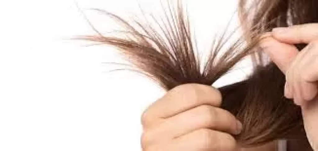 حيل فعالة للتخلص من تقصف الشعر دون قصه