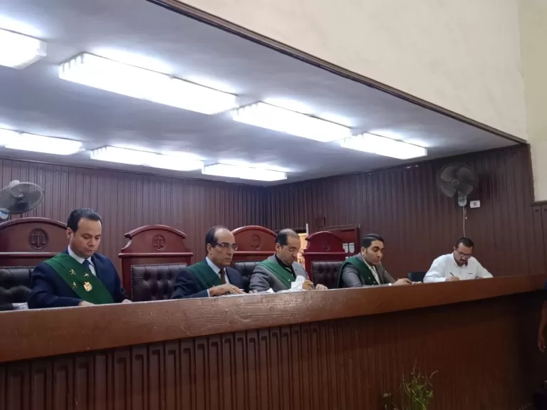 تجارة المخدرات وحيازة أسلحة نارية.. تقود عامل وميكانيكى للسجن المشدد 6 سنوات بالقليوبية