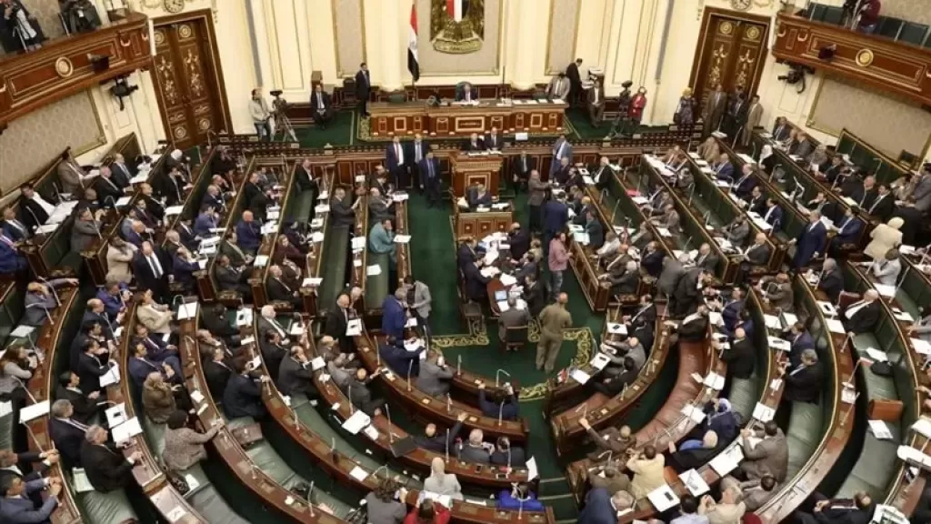 أهمية إنشاء المجلس الوطني للسياحة الصحية .. برلمانية توضح