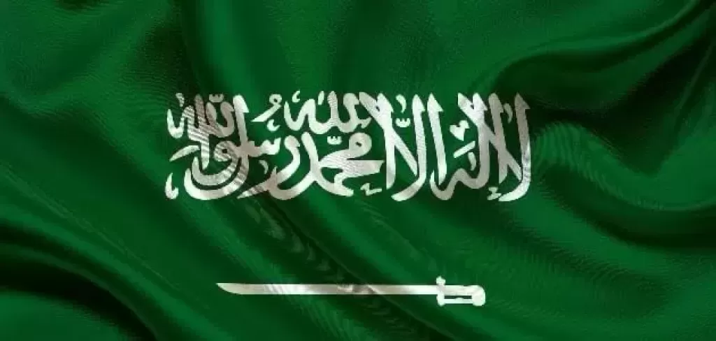 السعودية و 7 دول من ”أوبك بلس” يؤكدون التزامهم باستقرار السوق البترولية ويقررون زيادة الإنتاج