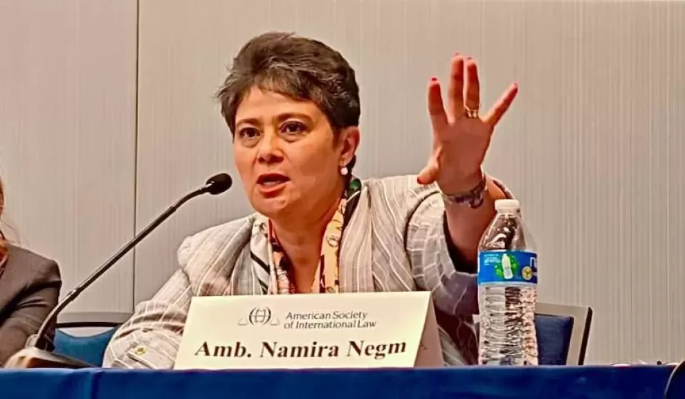 ”نميرة نجم”  تُحذِّر في واشنطن: اختيار  أمريكا للقوة فقط بديلا عن القانون كارثة عليها و على العالم
