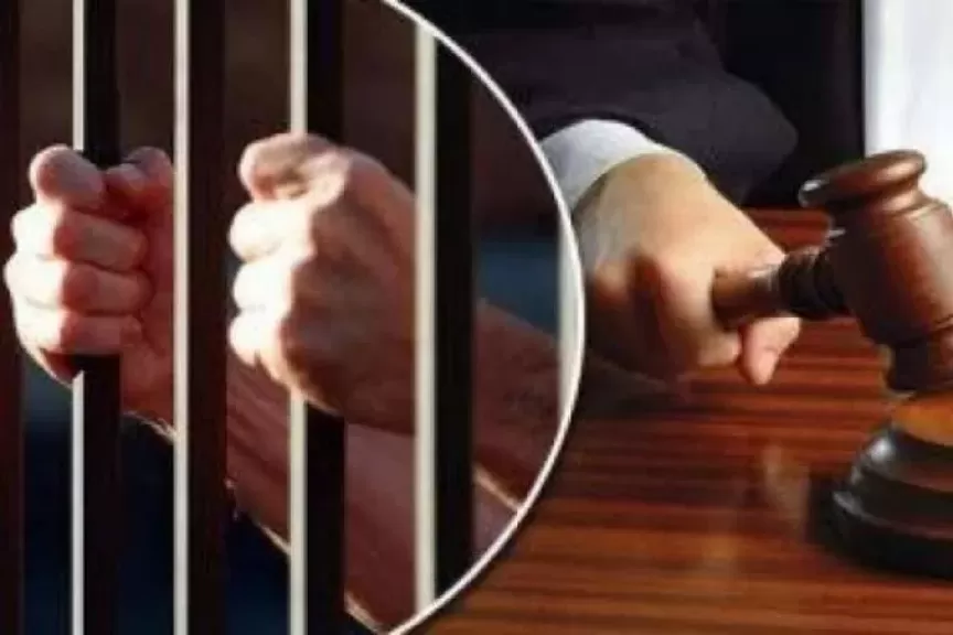 المؤبد لتشكيل عصابي بالقليوبية تخصص بالإتجار في المخدرات وجلبها من خارج البلاد